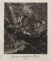 KG 01075
          <br/>
          Entwurf einiger Thiere. Dritter Theil. (18 bladen)
          <br/>
          <em>Ridinger, Johann Elias (1698-1767)</em>